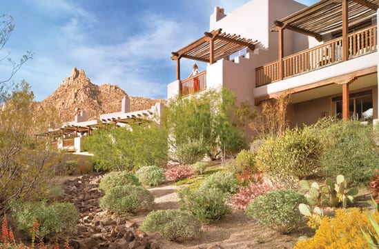 Welcome to desert bliss