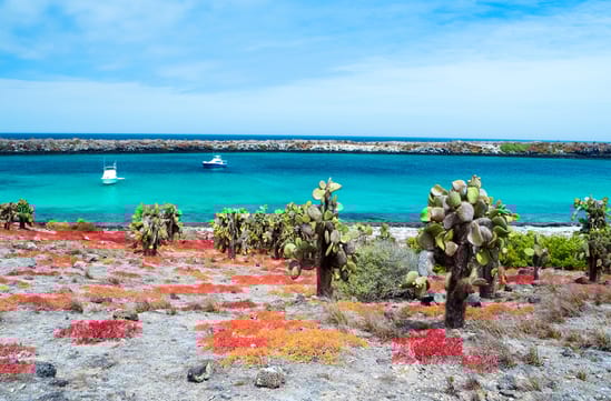 Amazon, Andes, and The Galápagos Islands