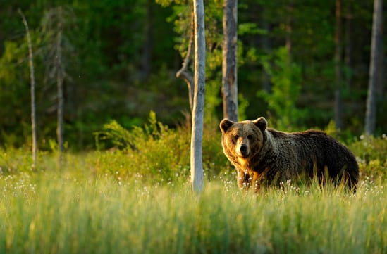 Luxury Holidays in Scandinavia