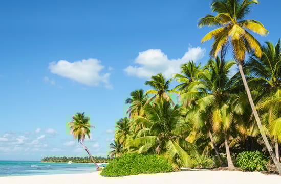 Caribbean