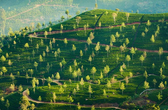 Sri Lanka