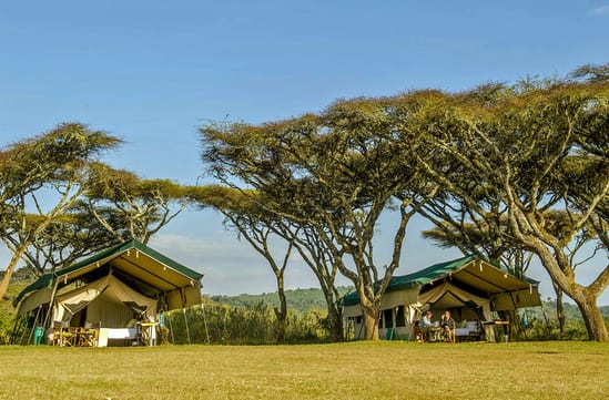 Sanctuary Ngorongoro Crater Camp
