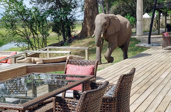 Zimbabwe holidays