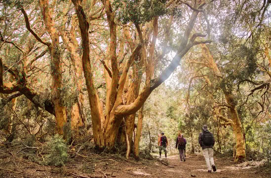 Luxury Family Holiday in Argentina