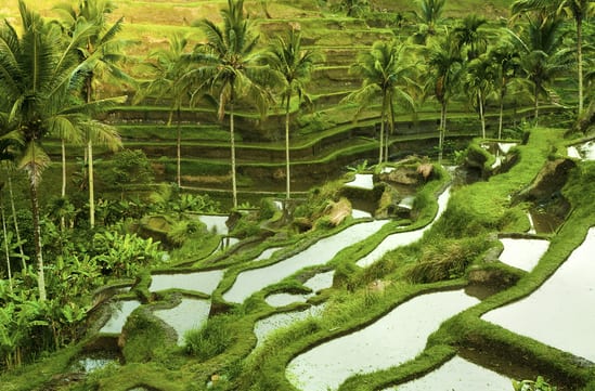 Indonesia