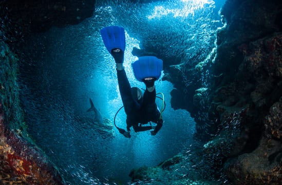 Diver explores underwater in the Cayman Islands