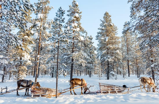Lapland