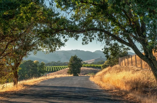Sonoma