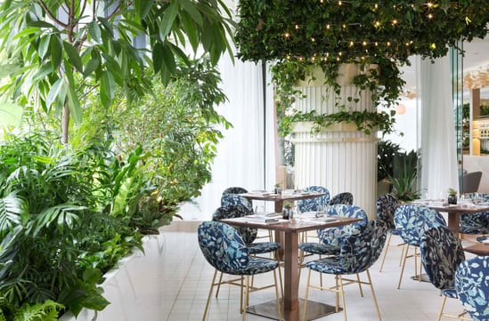 Fairmont Pacific Rim, Luxury Hotels Canada