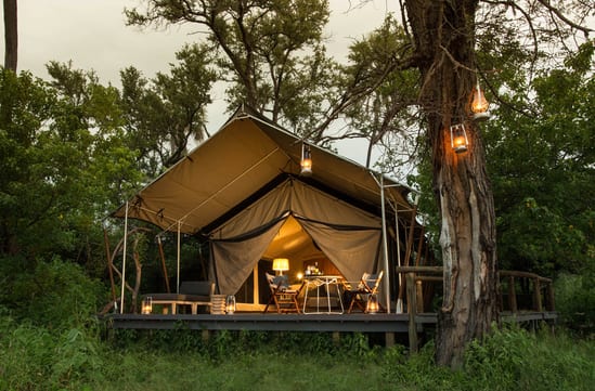 Gomoti Plains Camp