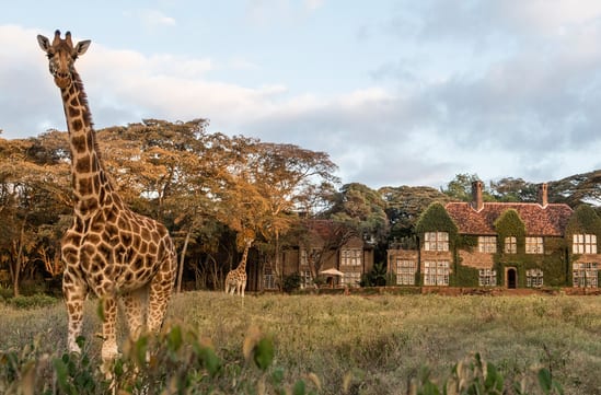 Giraffe Manor