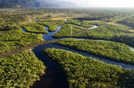 Amazon River Brazil