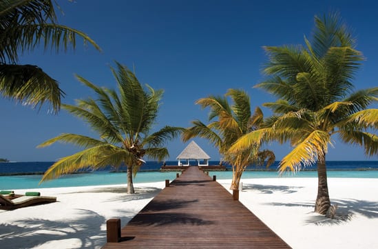 Coco Bodu Hithi