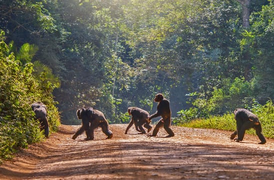 Uganda