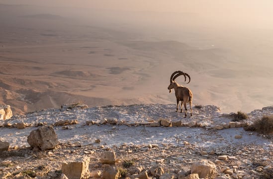 Israel