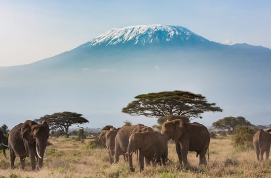 Kilimanjaro trek