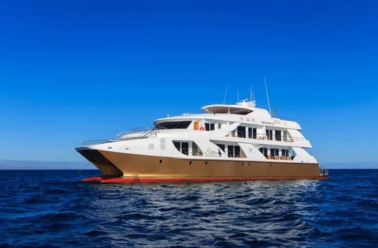 Elite Luxury Yacht | Luxury Yachts and Cruises in the Galapagos