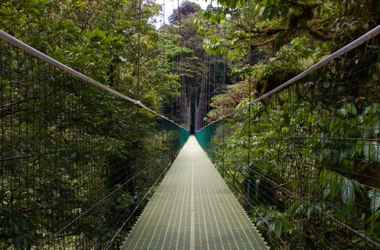 Costa Rica with WSJ+ & Black Tomato