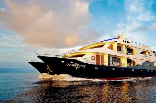 Ocean Spray Luxury Yacht | Luxury Cruises in the Galapagos