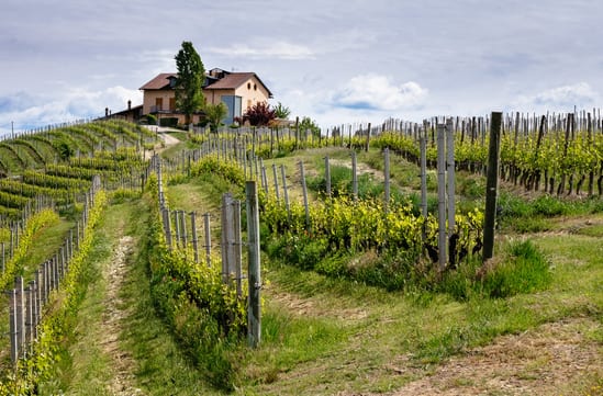 Luxury Holidays in Piedmont, Italy