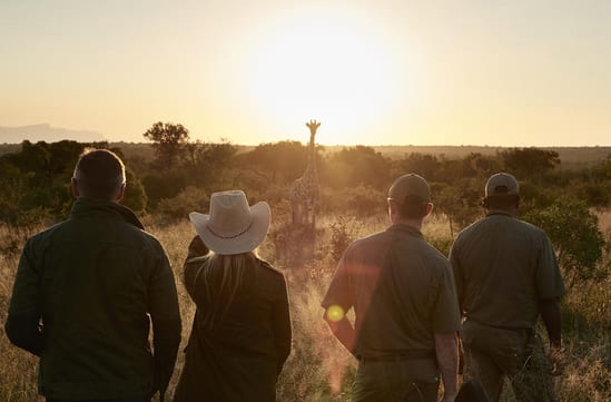 Big five game walks and safari, luxury travel South Africa