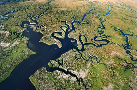 Florida everglades from above