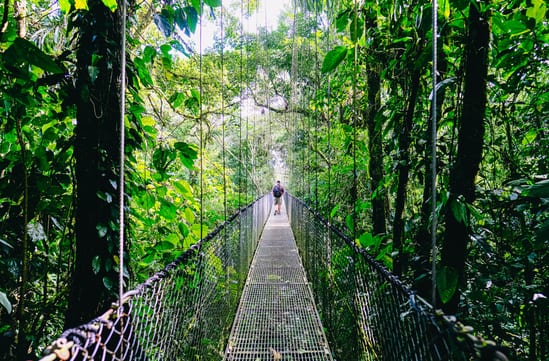 Hanging bridges, Costa Rica
