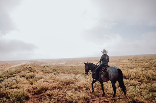 cowgirl on horse, USA