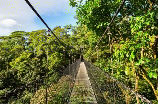 arenal hanging bridge forest in costa rica