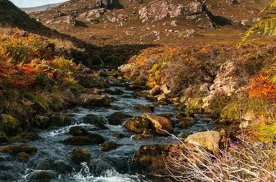 Scottish Highlands