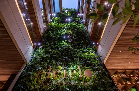 Elcielo Muro Verde