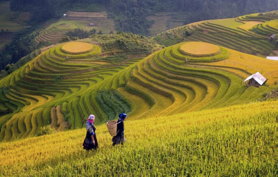 Vietnam luxury travel