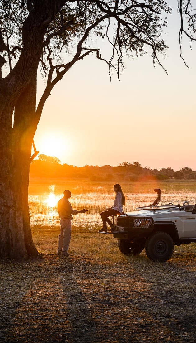 Safari Dreams Come True: The Ultimate Botswana Bucket List Destinations - Introduction