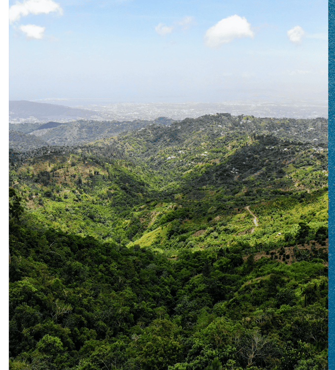 Jamaica, One Week to Wander, Black Tomato, Luxury Travel