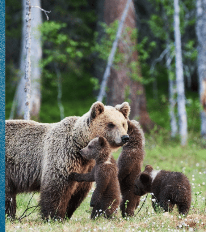 Alaska, One Week to Wander, Black Tomato, Luxury Travel