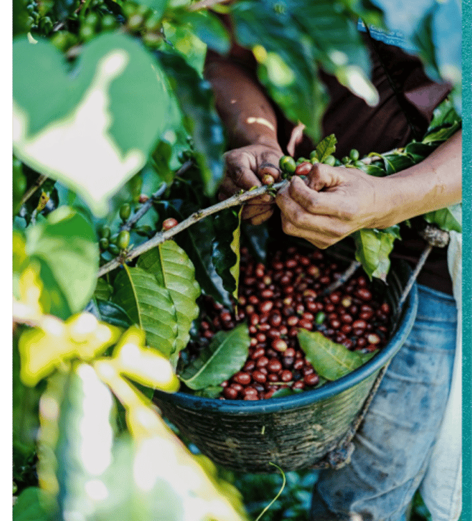 Guatemala, One Week to Wander, Black Tomato, Luxury Travel