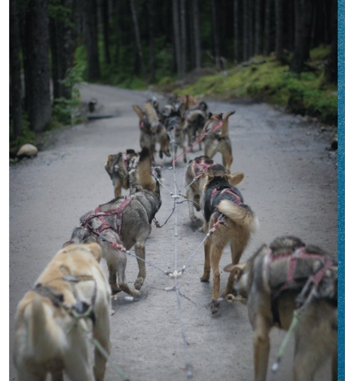 Alaska, One Week to Wander, Black Tomato, Luxury Travel