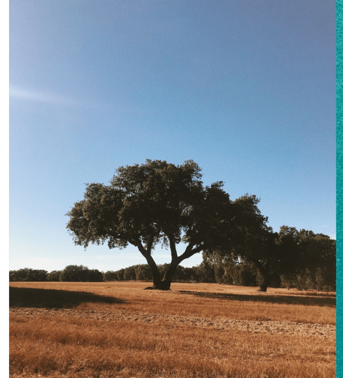 Portugal, One Week to Wander, Black Tomato, Luxury Travel