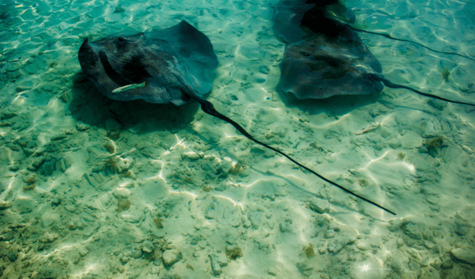 Luxury holidays to French Polynesia
