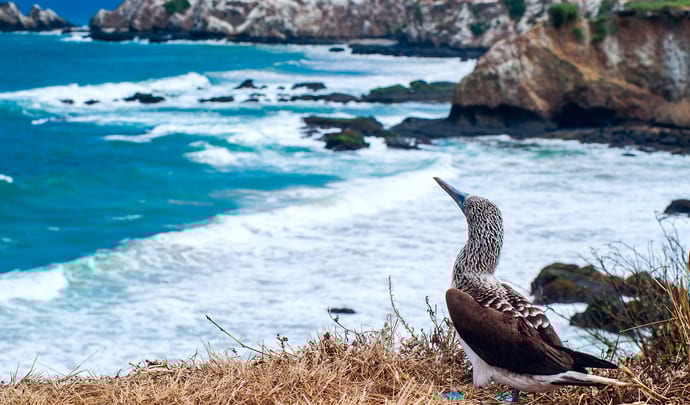 Luxury Holidays in Ecuador & Galapagos
