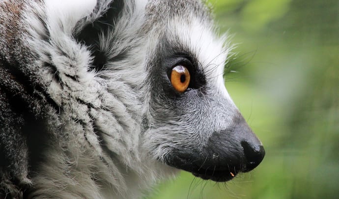 Private Tours in Madagascar