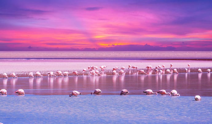 More about Bolivia