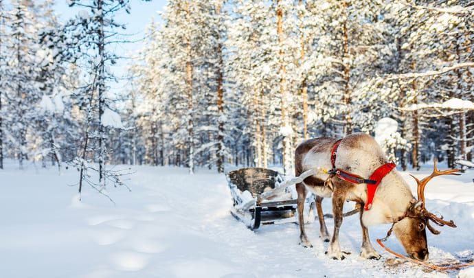 More about Finland