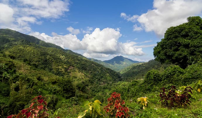 Where to go in Jamaica