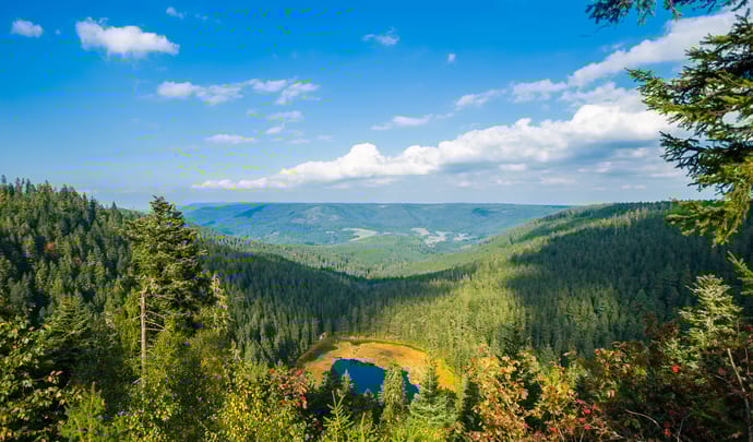 Luxury Holiday in the Black Forest
