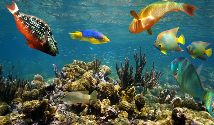 Private tours in Jamaica