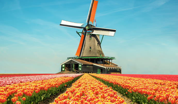 Luxury honeymoons in the Netherlands