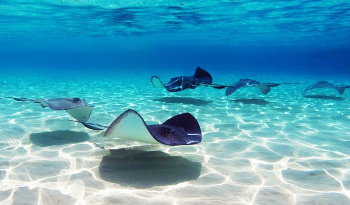 Honeymoons in the Cayman Islands