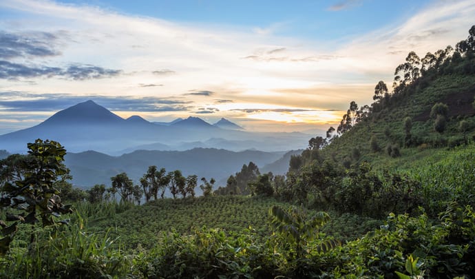More about Uganda