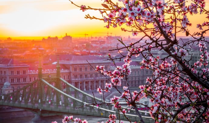 Private tours to Budapest